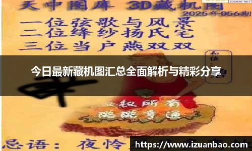 今日最新藏机图汇总全面解析与精彩分享