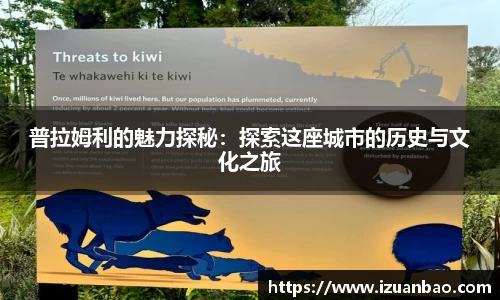 普拉姆利的魅力探秘：探索这座城市的历史与文化之旅