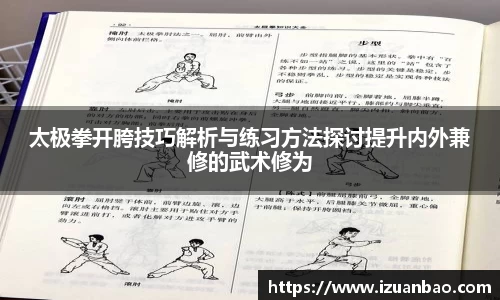 太极拳开胯技巧解析与练习方法探讨提升内外兼修的武术修为