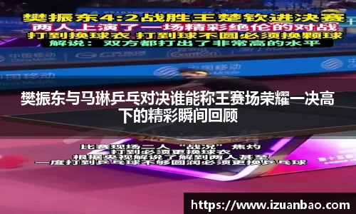 樊振东与马琳乒乓对决谁能称王赛场荣耀一决高下的精彩瞬间回顾